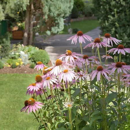 Gundolf - Astner 아파트 *