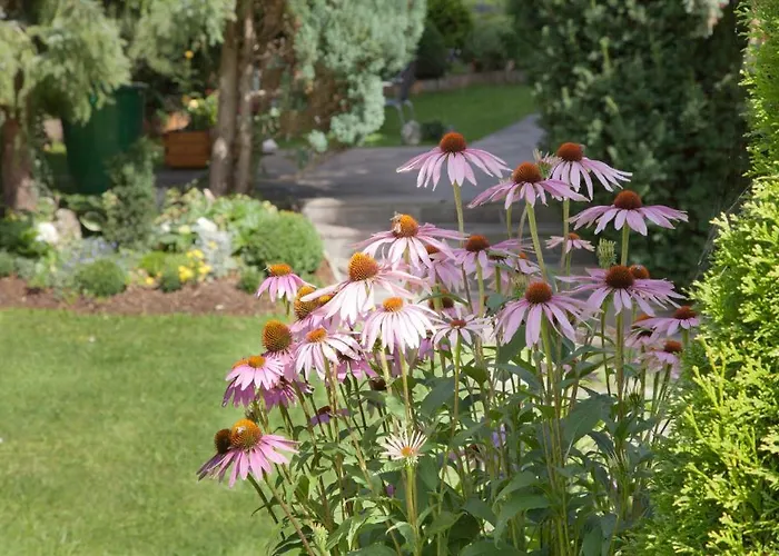 Gundolf - Astner Apartmán *